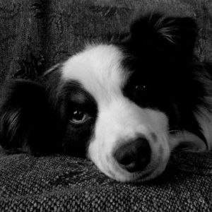 Meet your Posher, Scott